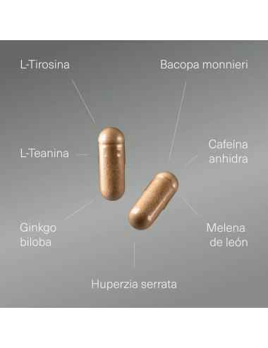 Nootrópico con Ginkgo Biloba, Melena de León, Cafeína de Aldous Bio